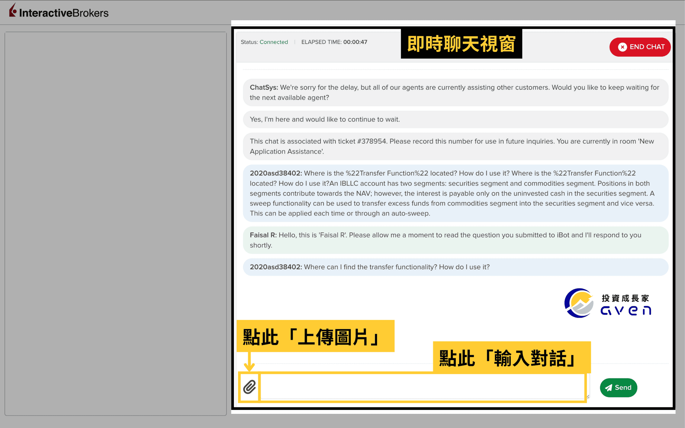 IB盈透證券 真人即時聊天客服 IBKR客服